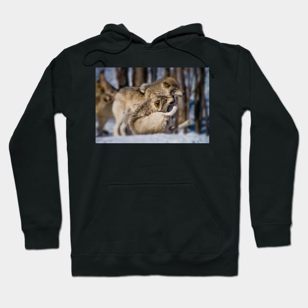 Timber Wolves Hoodie by jaydee1400